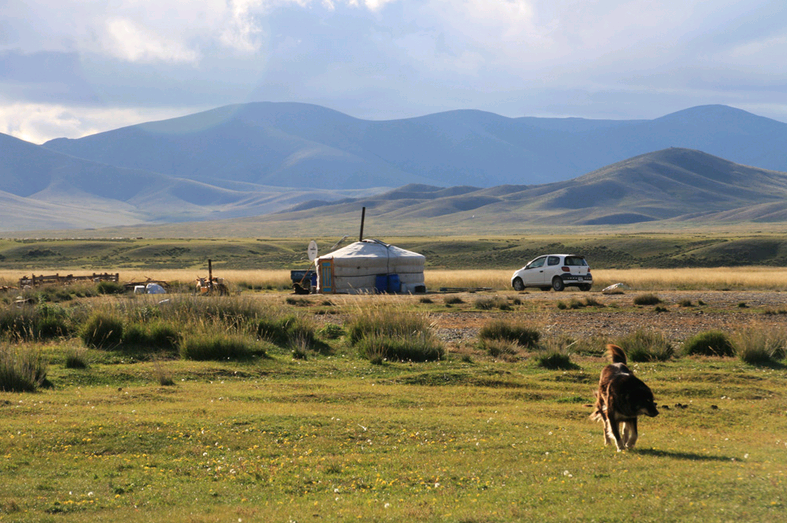 How the ecosystem of the Mongolian steppe can be preserved
